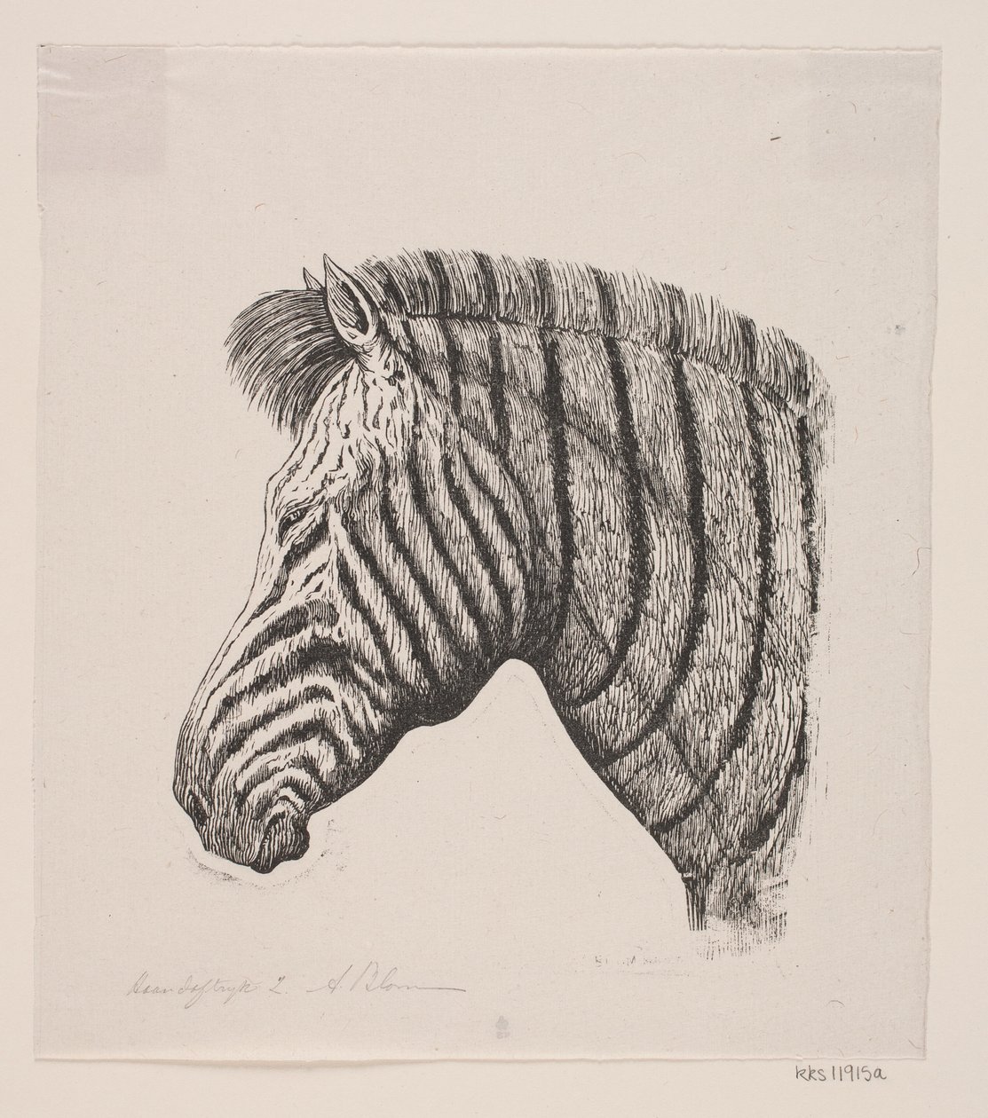 Zebra feje alkotó: Alexander Blom