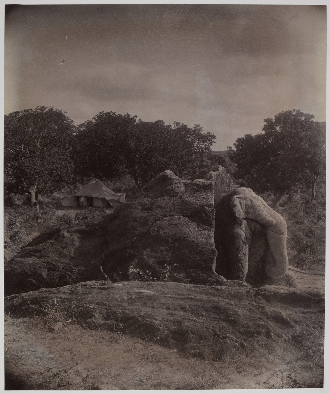 Faragott elefánt a szikla tetején Asoka feliratokkal, Dhauli, Puri District alkotó: Alexander Caddy