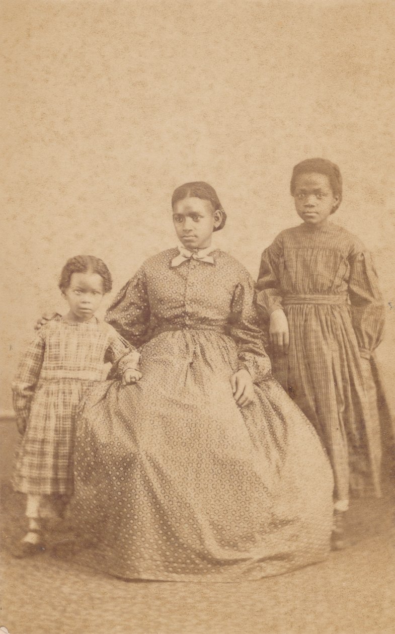 Egy fiatal nő és két gyermek látogatása, 1864-1866. alkotó: Alexander Gardner