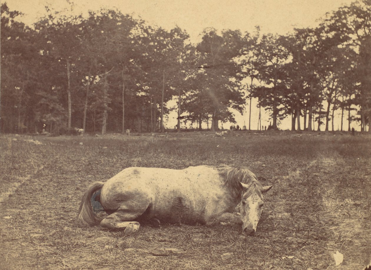Is This Death – Antietam Battlefield, 1862. szeptember, 1862. alkotó: Alexander Gardner