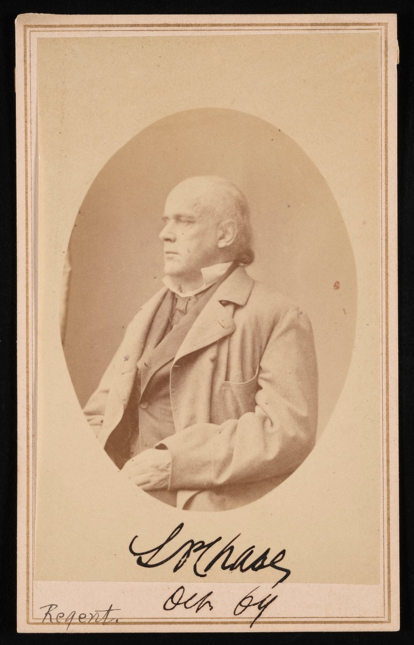 Salmon Portland Chase portréja 1808-1873, 1864 október. alkotó: Alexander Gardner