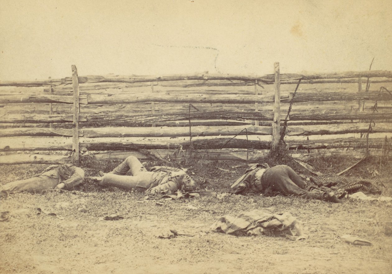 Kilátás a mezőn, a Hagerstown út nyugati oldalán, az antietami csata után, ..., 1862. alkotó: Alexander Gardner