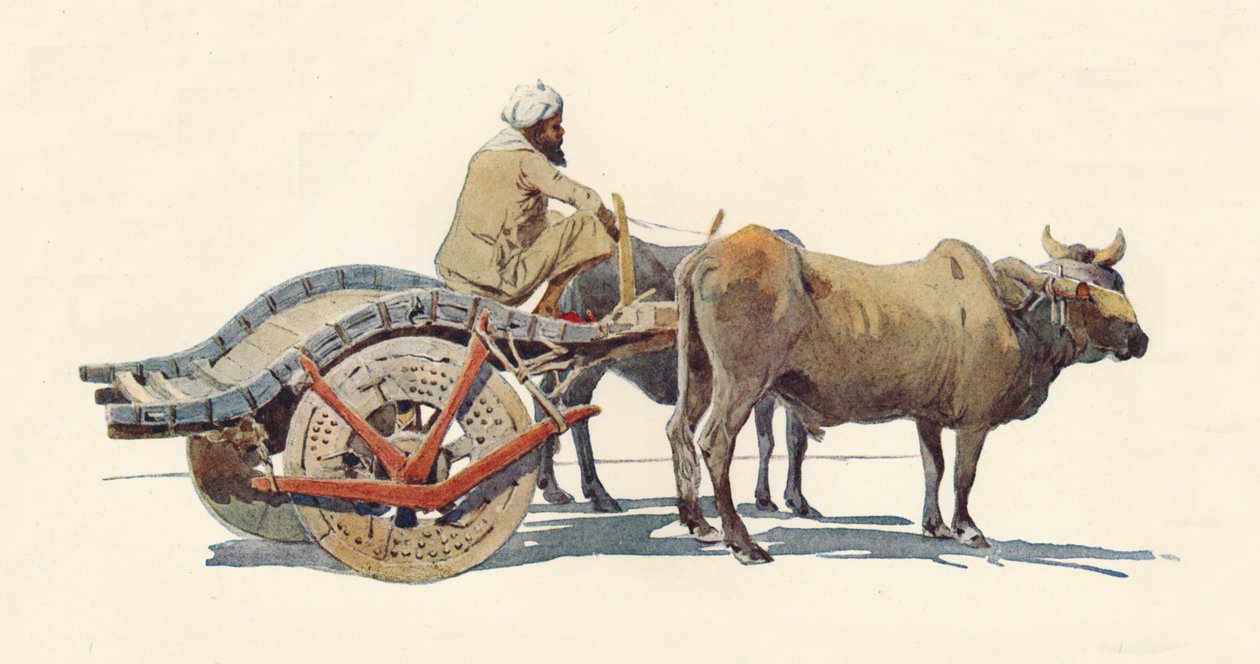 Bullock Cart, Jodhpur, 1880 1905. alkotó: Alexander Henry Hallam Murray