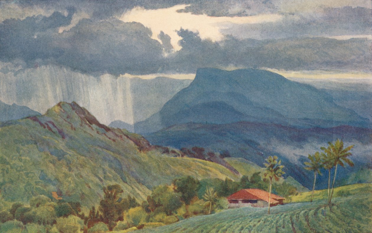 Trópusi zuhany, c1880 1905. alkotó: Alexander Henry Hallam Murray