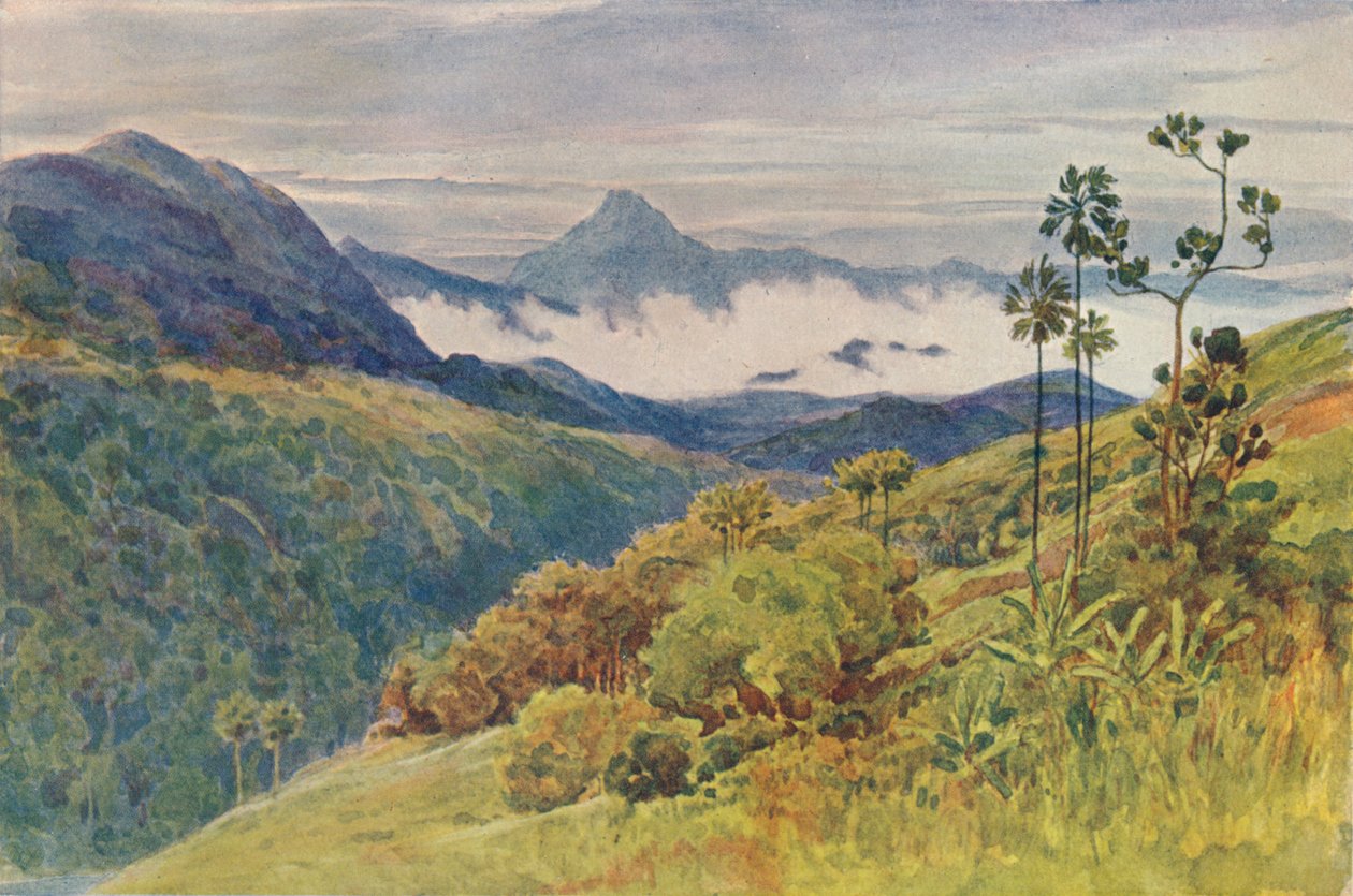 Reggeli ködök a Mahaweli Ganga völgyében, 1880 1905. alkotó: Alexander Henry Hallam Murray