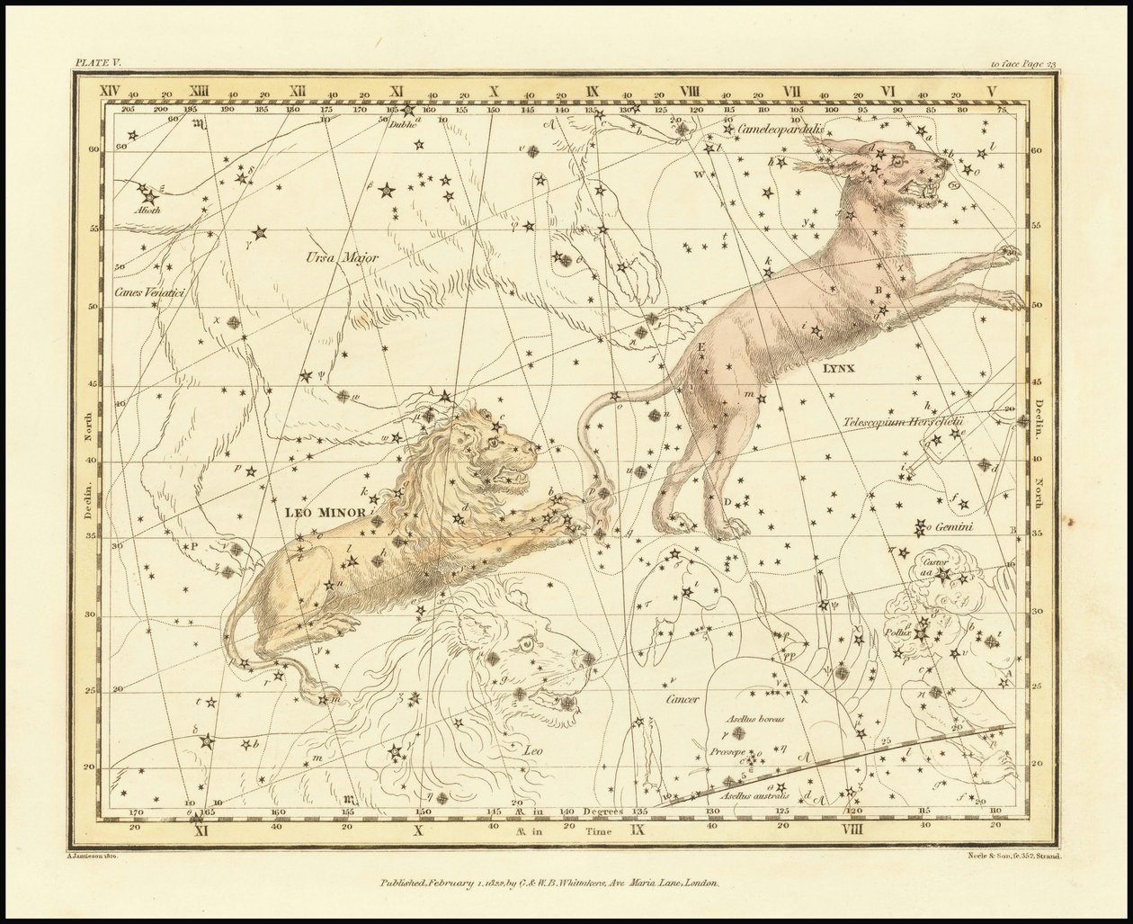 1822 - Alexander Jamieson - Lynx  Leo Minor alkotó: Alexander Jamieson