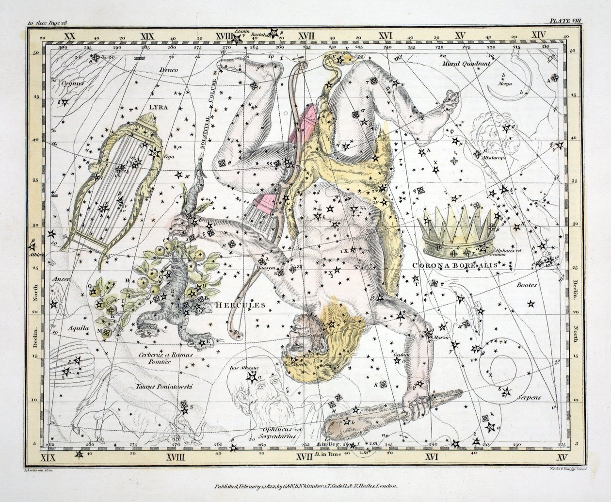 A csillagképek (VIII. tábla) Corona Borealis, Hercules és Cerberus, Lyra, Alexander Jamieson „Egy égi atlasza” című művéből, pub. London 1822 (kézzel színezett metszet) alkotó: Alexander Jamieson