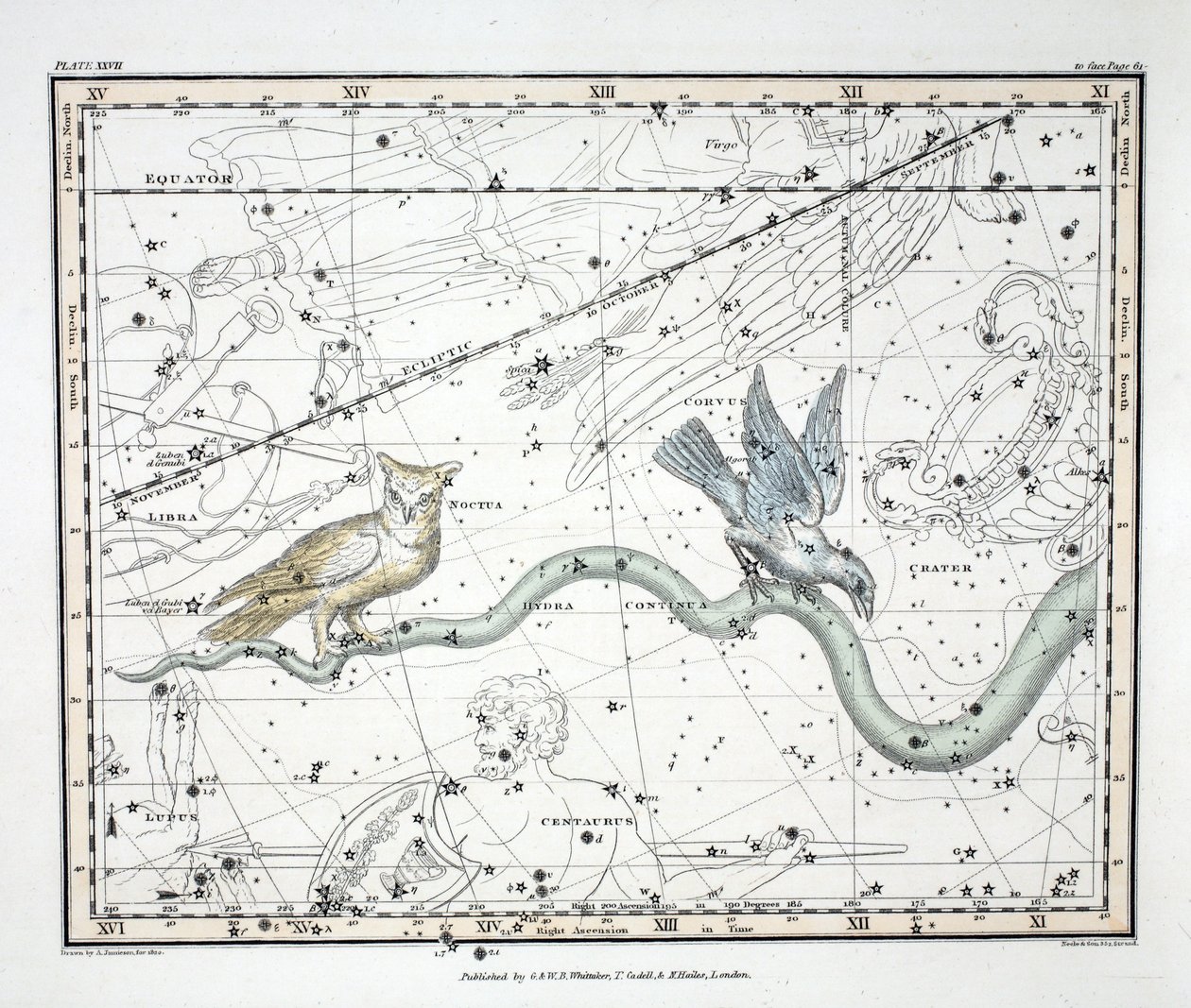 A csillagképek (XXVII. tábla) Hydra Continua, Kráter, Covus, Centaurus et Lupus, Alexander Jamieson „Egy égi atlasza” című művéből, pub. London 1822 (kézzel színezett metszet) alkotó: Alexander Jamieson
