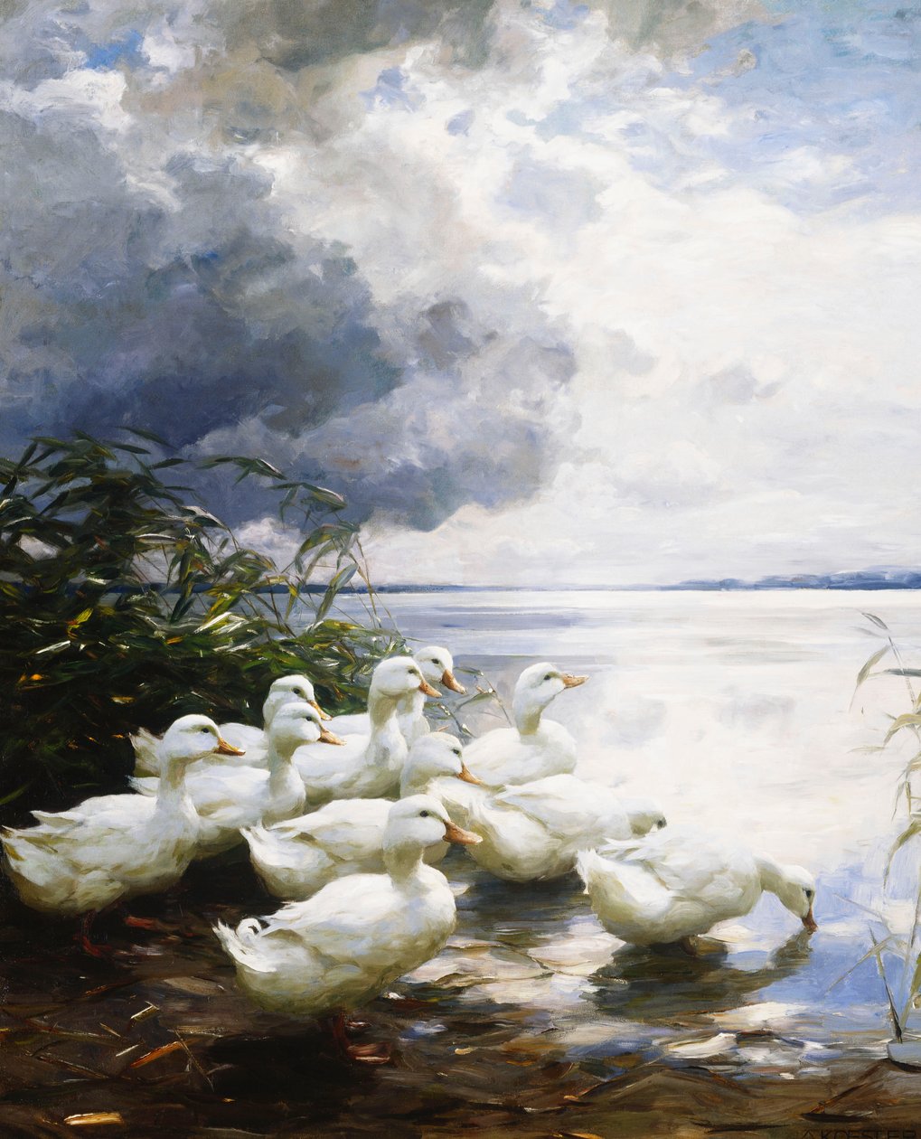 Kacsák a tó szélén alkotó: Alexander Koester