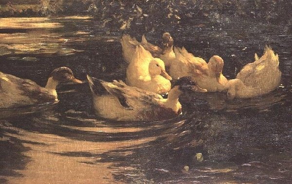 Kacsák a tavon alkotó: Alexander Koester