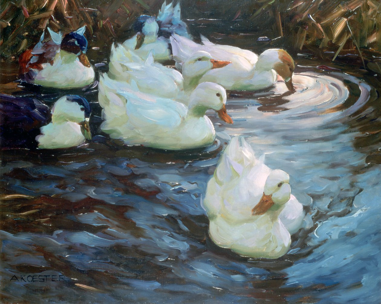 Kacsák a tavon, c1884-1932 alkotó: Alexander Koester