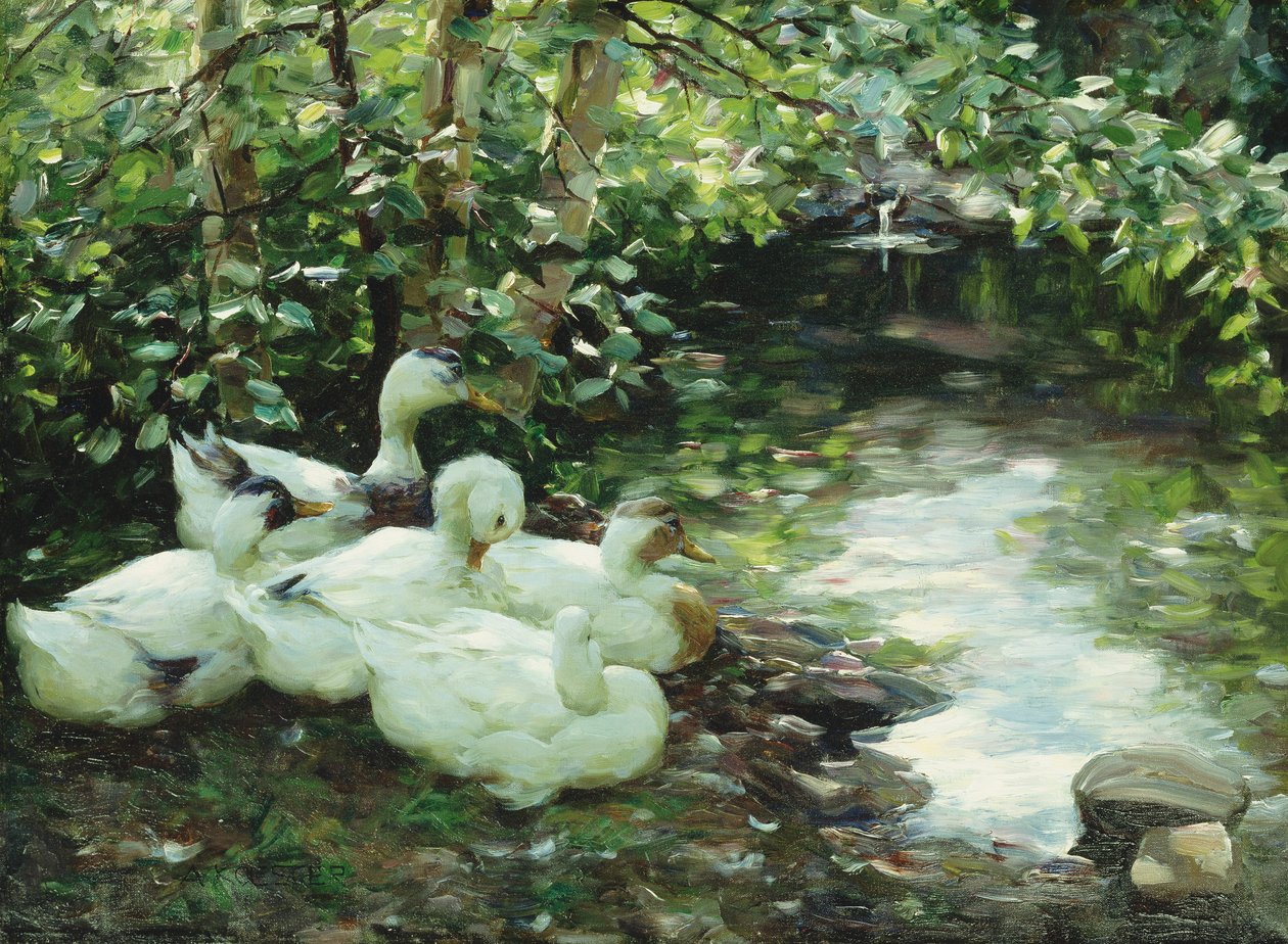 Öt kacsa a folyón, köves part; Funf Enten am Bach, Steiniges Ufer alkotó: Alexander Koester