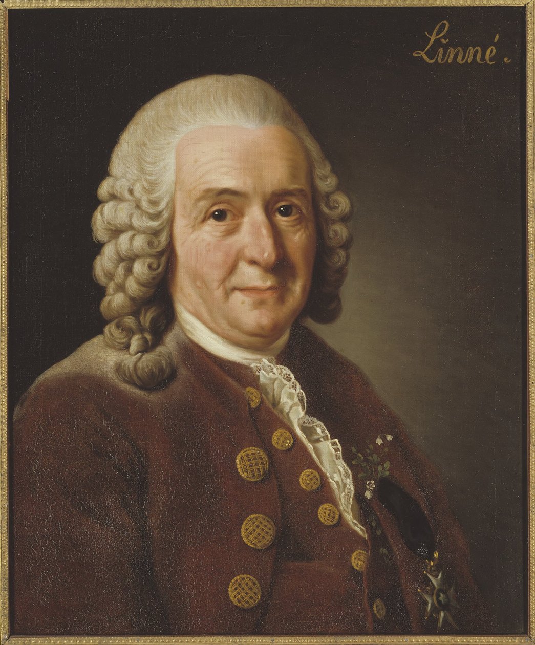 Carl von Linné (1707-1778), professzor és botanikus, 1775 alkotó: Alexander Roslin