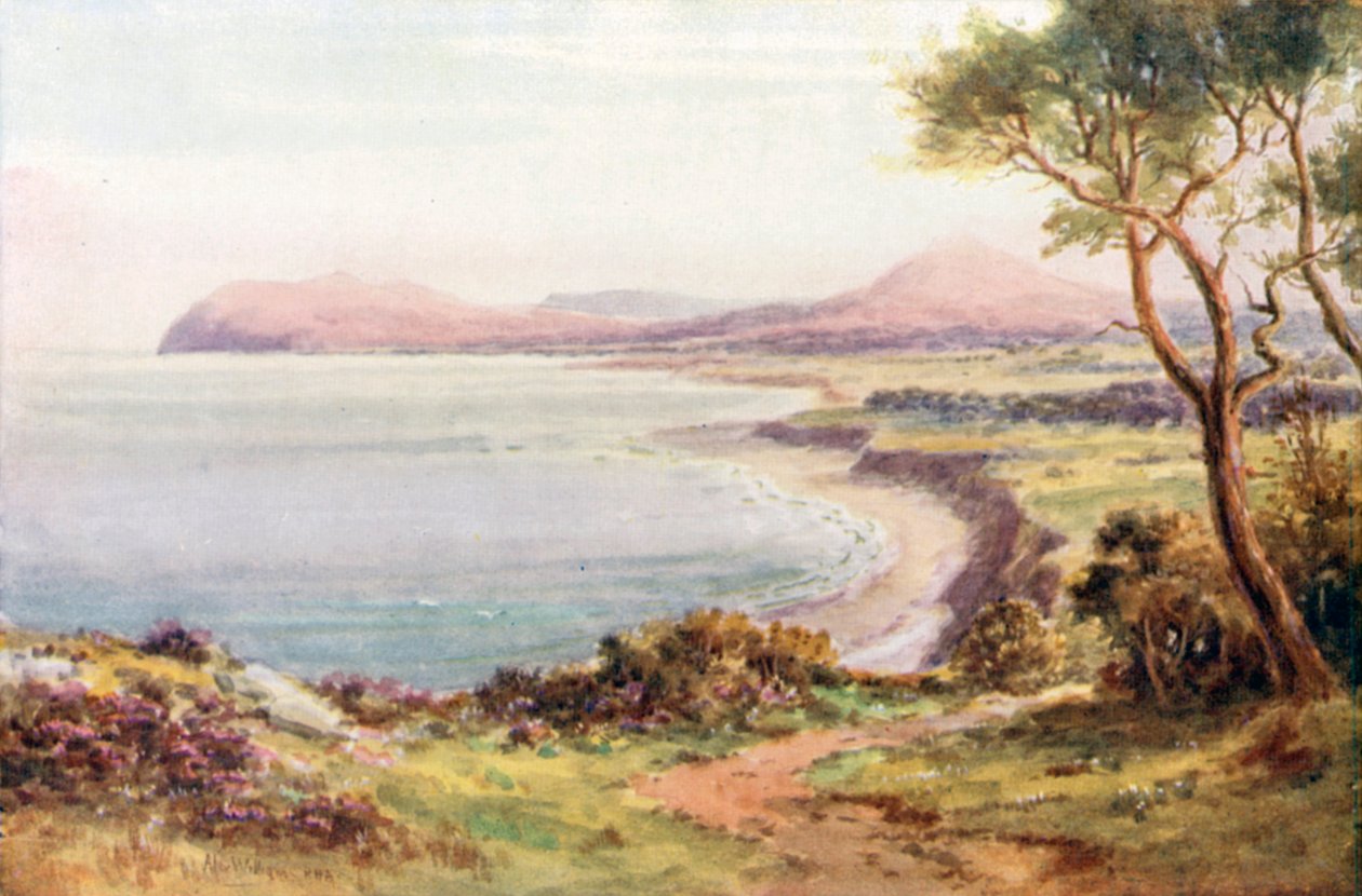  alkotó: Alexander Williams