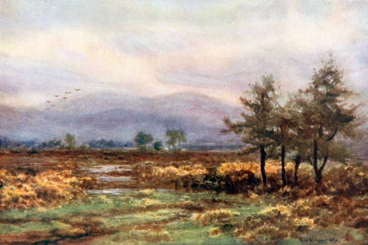  alkotó: Alexander Williams
