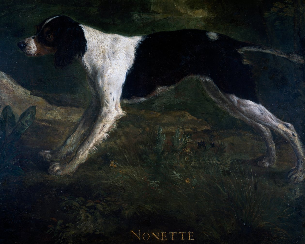 Nonette, a Marly-kastély királyi előszoba ajtajára festette Alexandre-Francois Desportes (1661-1743), Franciaország alkotó: Alexandre Francois Desportes