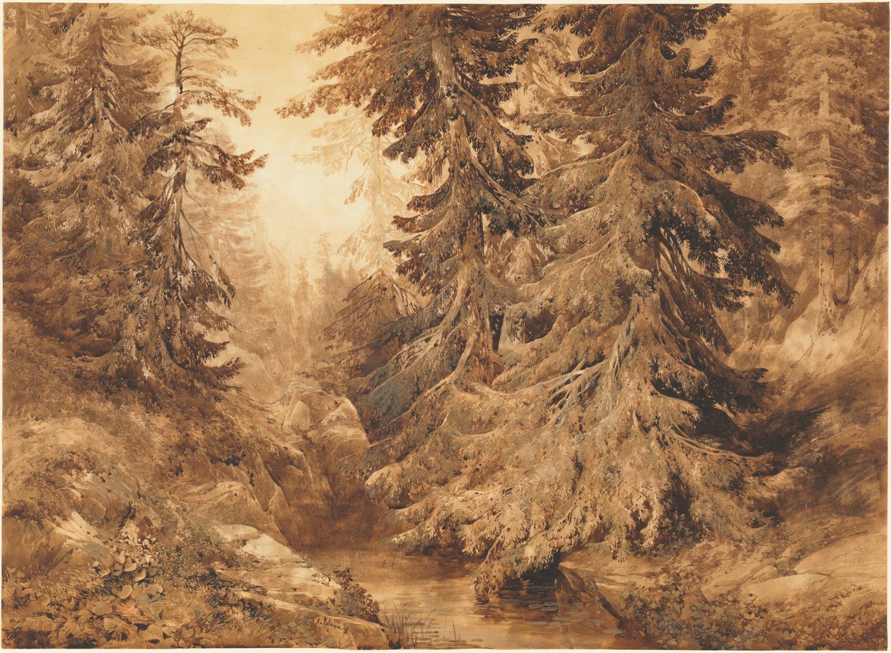 Ősi fenyőerdő hegyi patakkal alkotó: Alexandre Calame