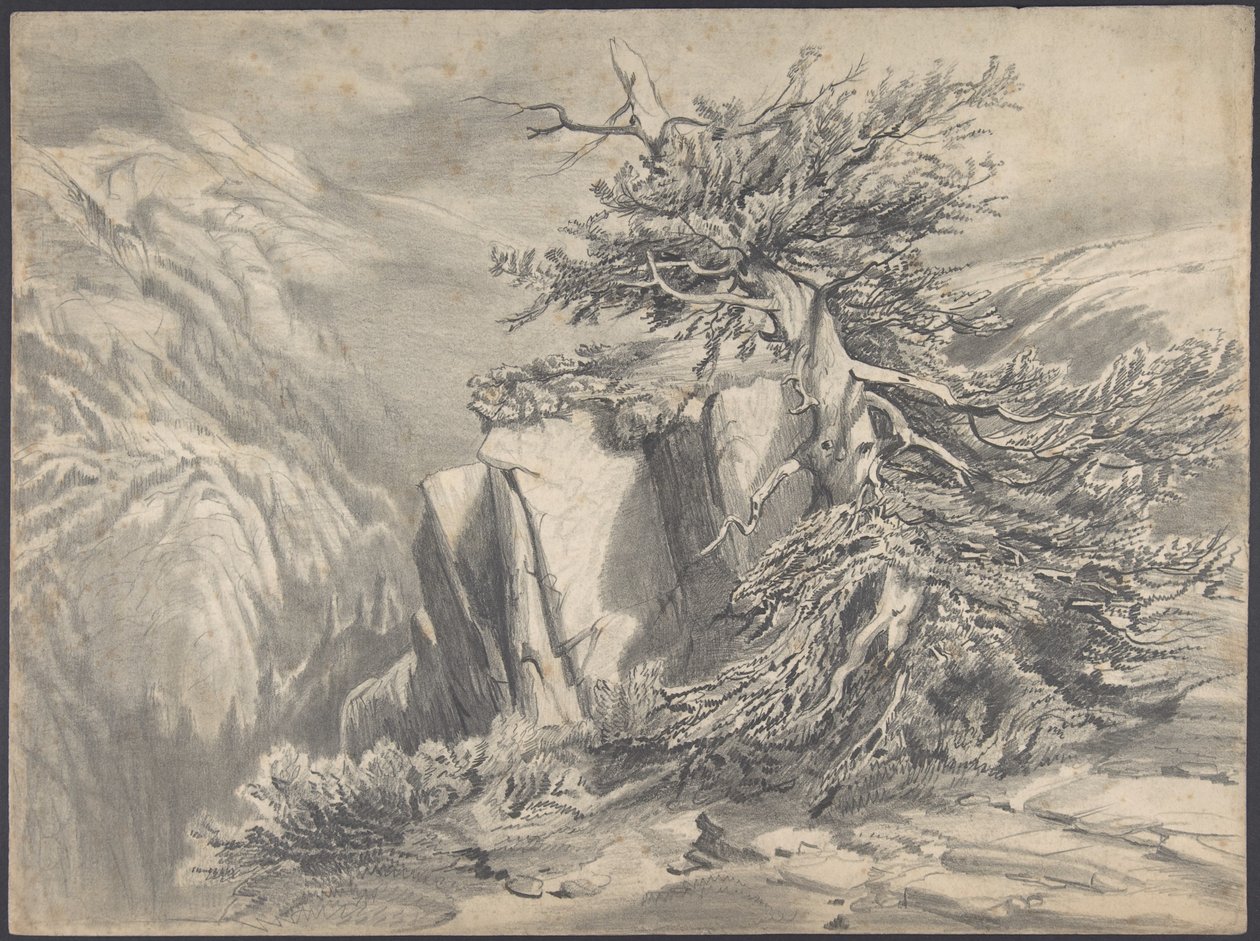 Törött fa hegyvidéki tájban alkotó: Alexandre Calame