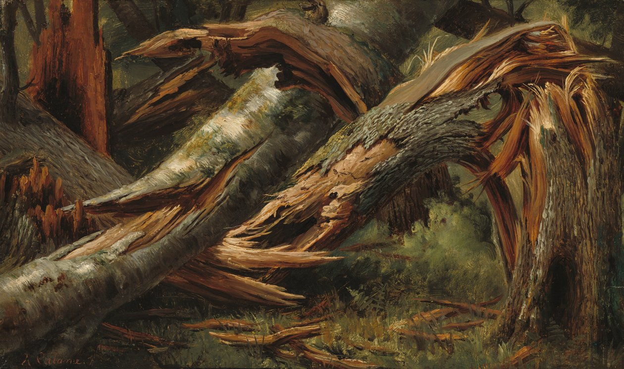 Kiesett fa alkotó: Alexandre Calame