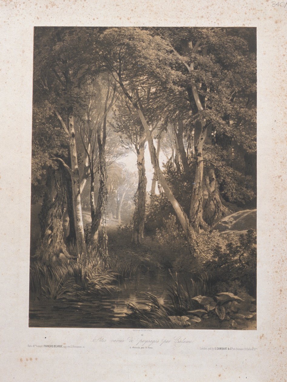 Tájkép alkotó: Alexandre Calame
