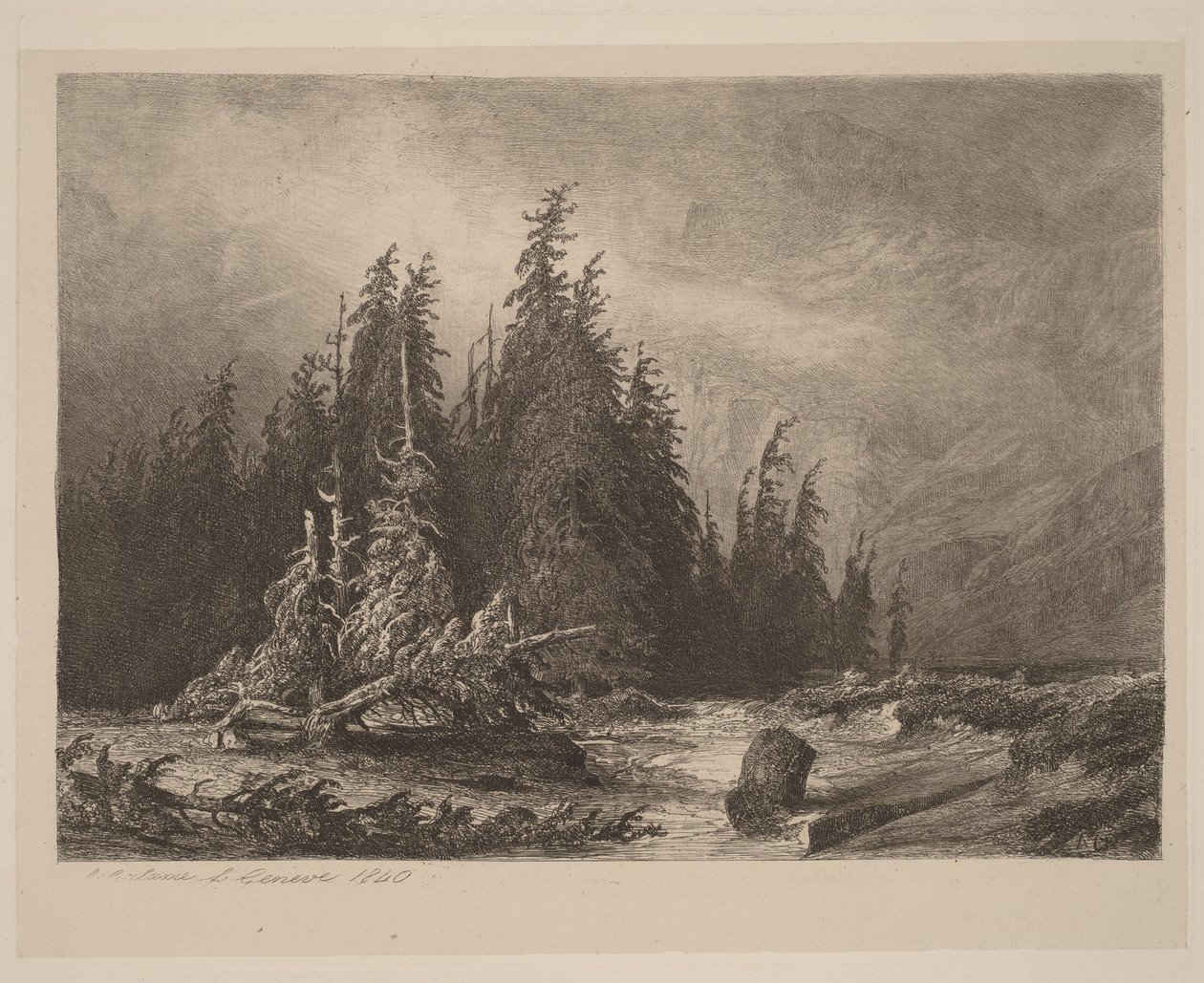 Hegyi fenyők alkotó: Alexandre Calame