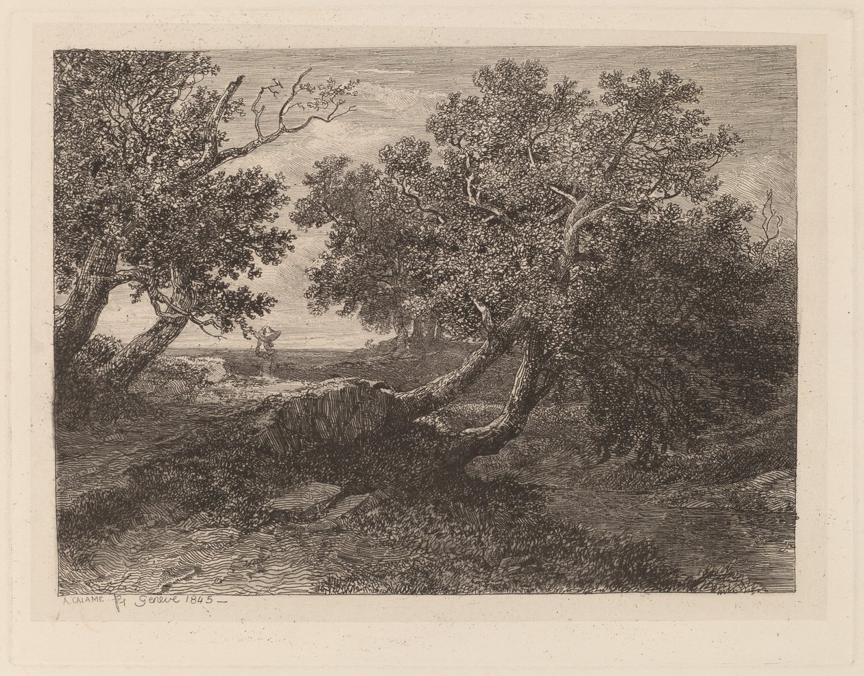 Patak kilógó fákkal alkotó: Alexandre Calame