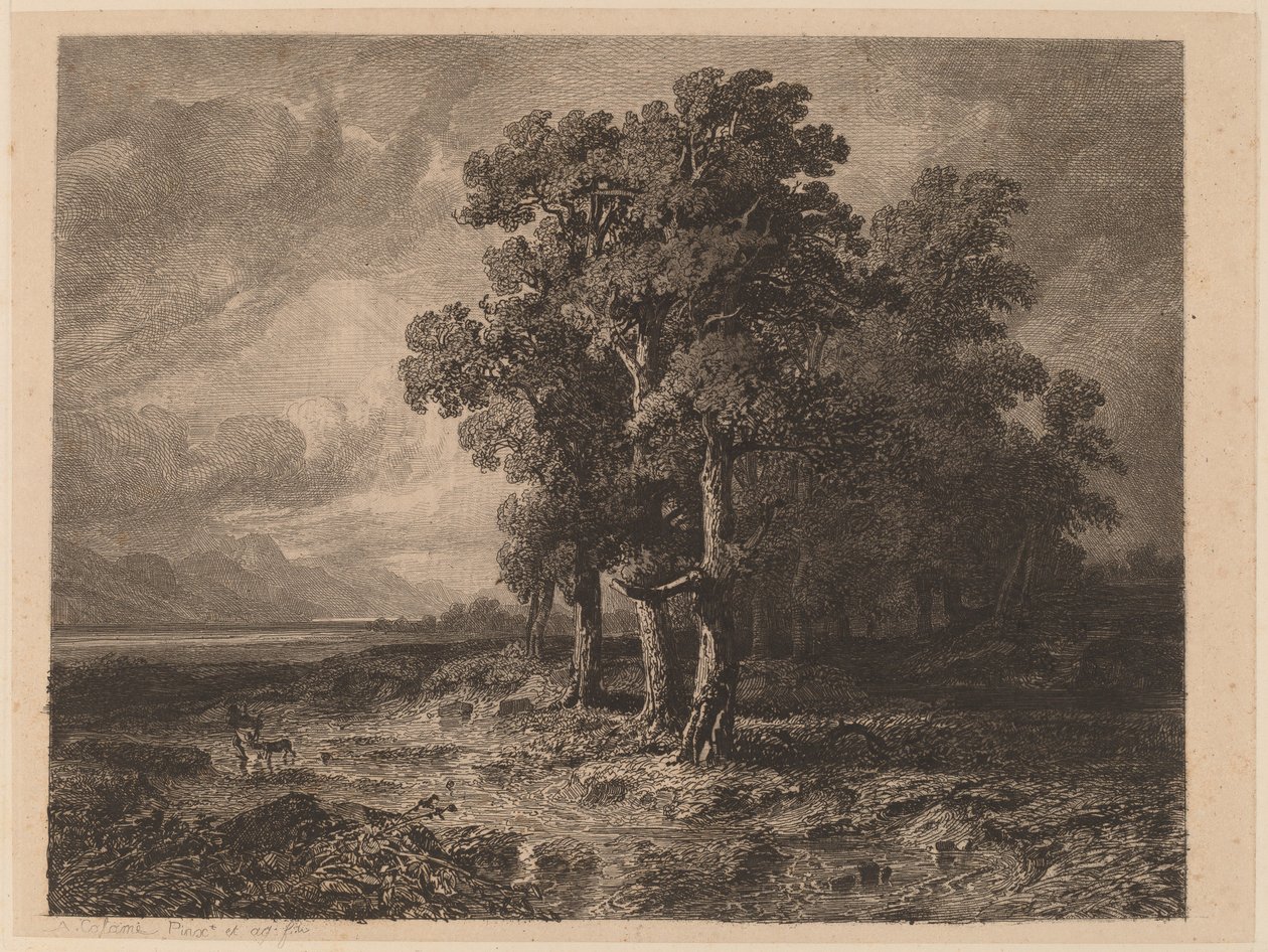 Fák a viharban alkotó: Alexandre Calame