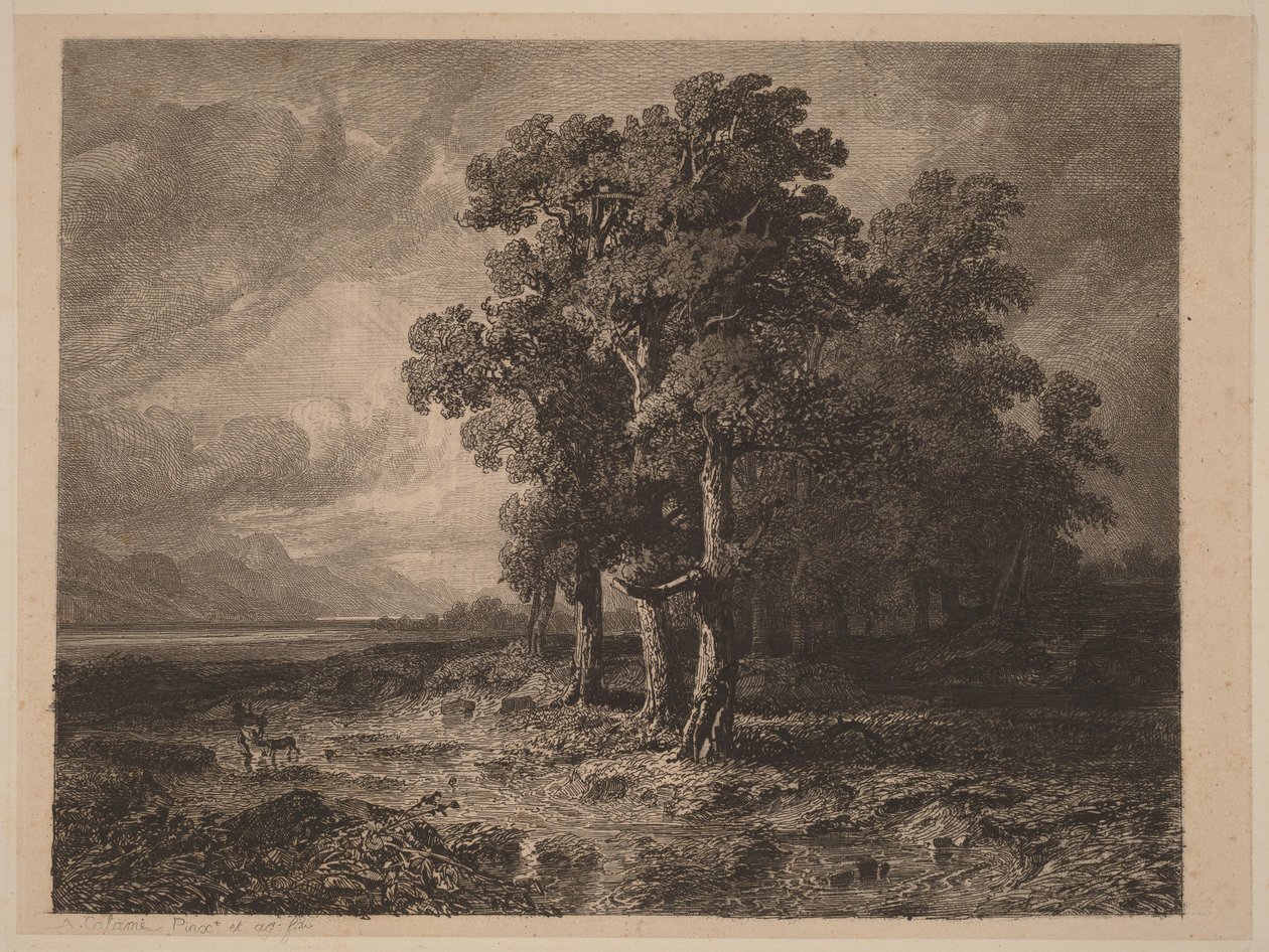 Fák viharban alkotó: Alexandre Calame
