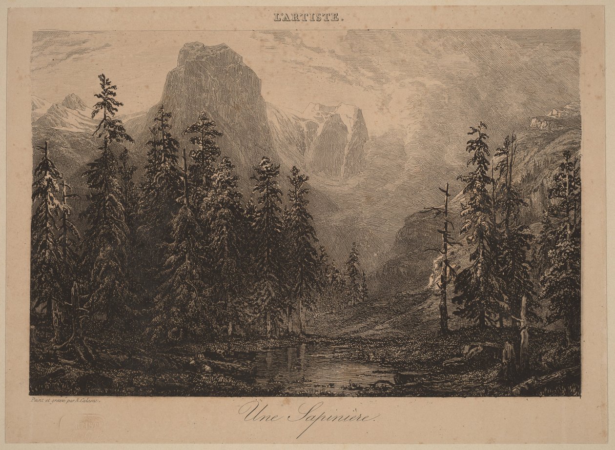 Egy fenyőerdő alkotó: Alexandre Calame