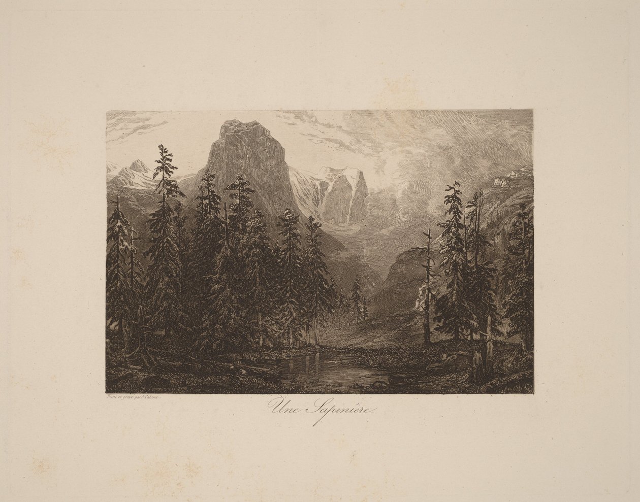 Egy fenyőerdő alkotó: Alexandre Calame