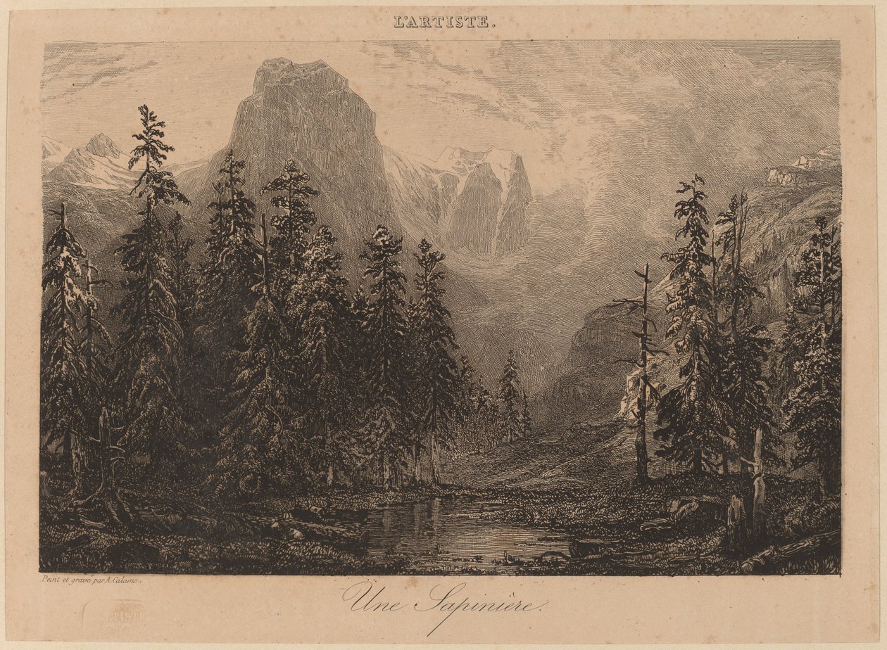 Egy fenyő alkotó: Alexandre Calame