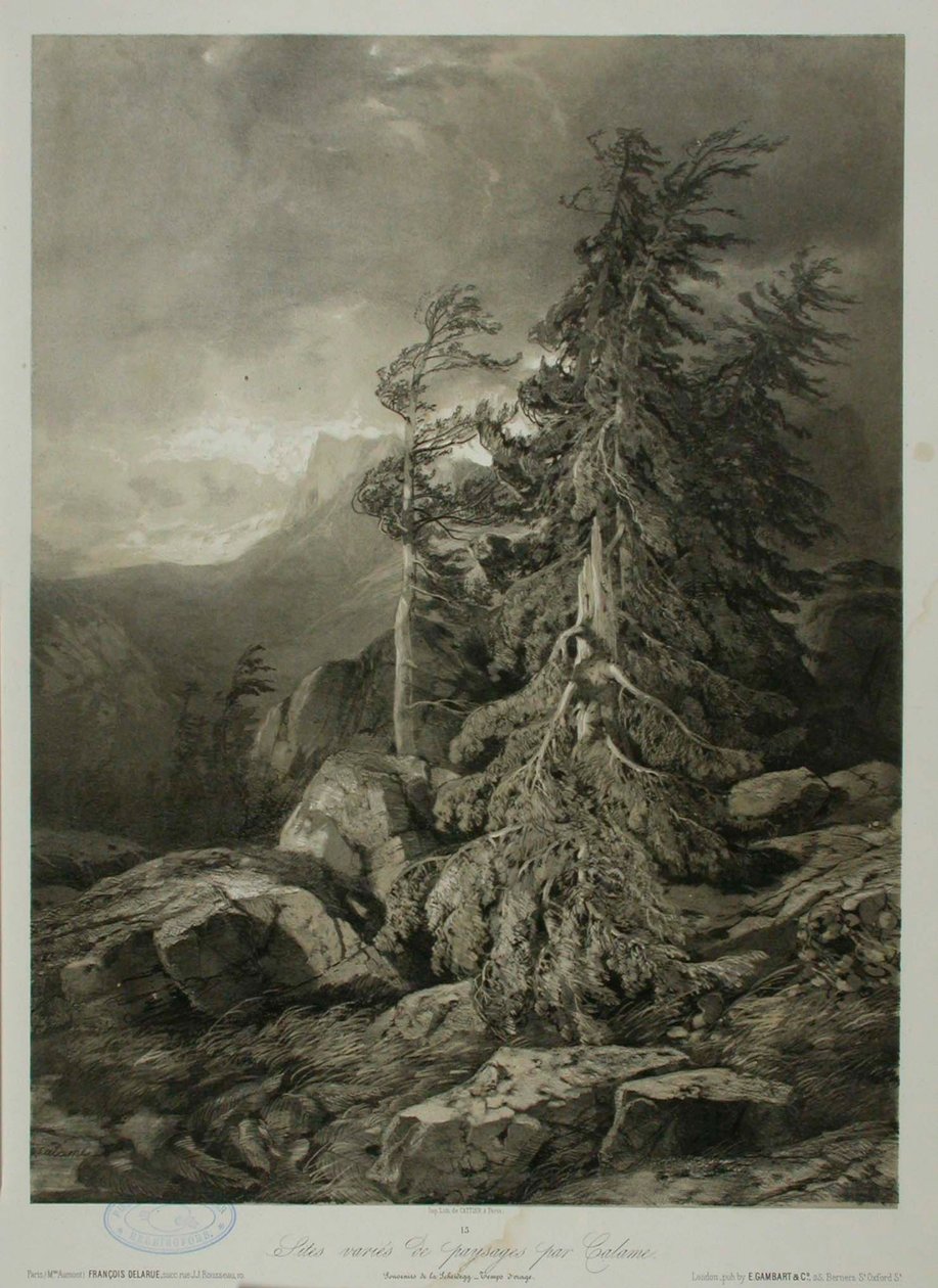 Cím nélkül alkotó: Alexandre Calame