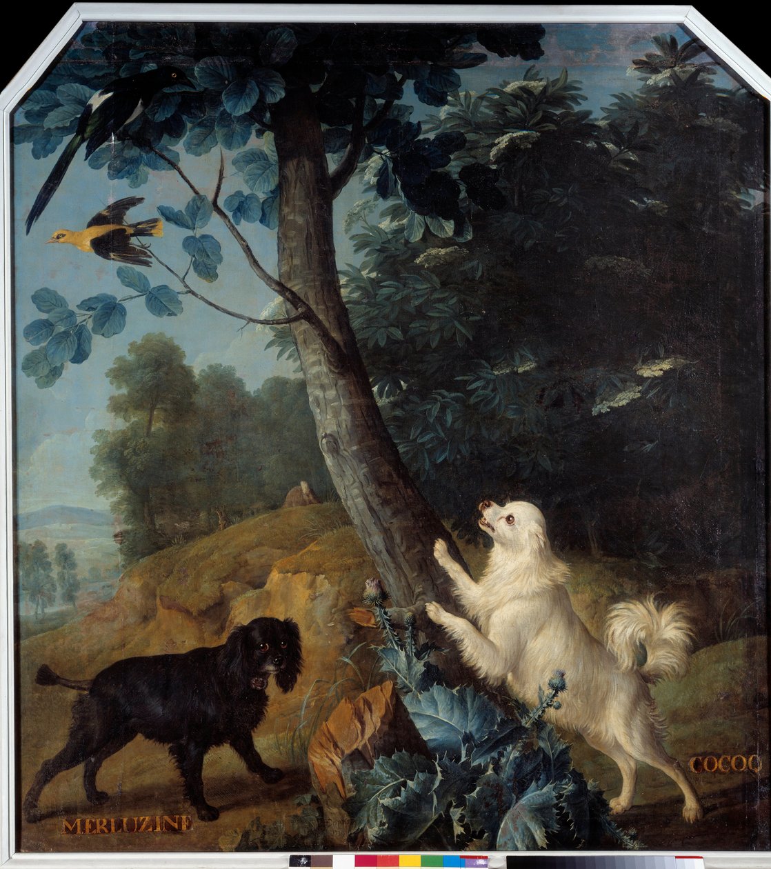 Merluzine és Cocoq, XIV. Lajos kutyái (1638-1715). Francois Desportes (1661-1743) festménye alkotó: Alexandre Francois Desportes