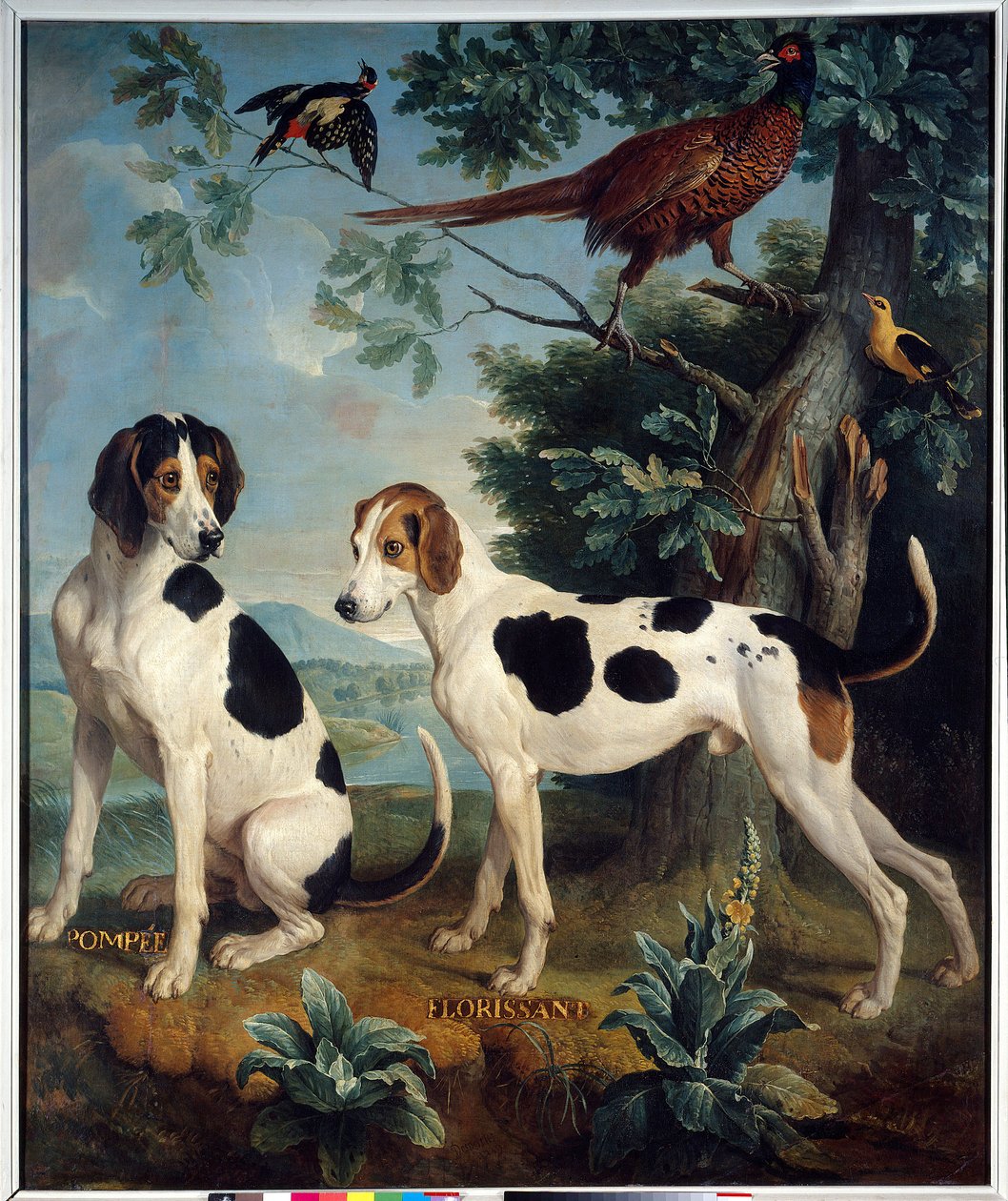 Pompee és Florissant, XIV. Lajos kutyái (1638-1715). Francois Desportes (1661-1743) festménye alkotó: Alexandre Francois Desportes