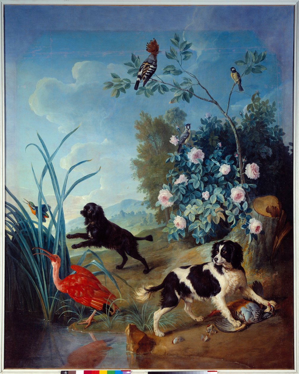 Zerbine és Jemite, XIV. Lajos király kutyái Francois Desportes (1661-1743) festménye, 1739 Compiegne, Musee national du chateau alkotó: Alexandre Francois Desportes