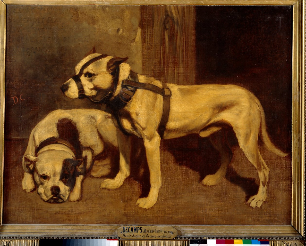 Skót bulldog és terrier rossz kutya szájkosárral. Alexandre Gabriel Decamps festménye alkotó: Alexandre Gabriel Decamps