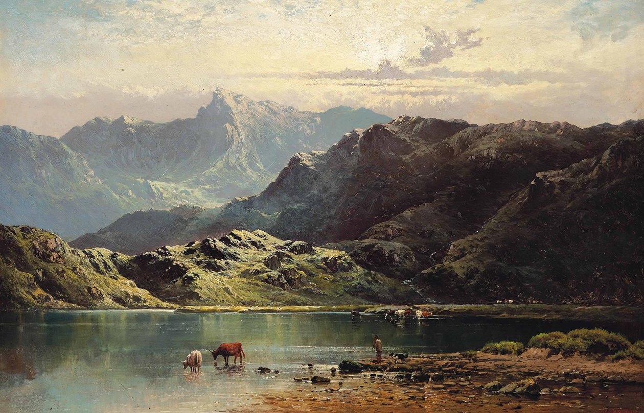 Szarvasmarha öntözés egy tó szélén, késő délután alkotó: Alfred de Breanski