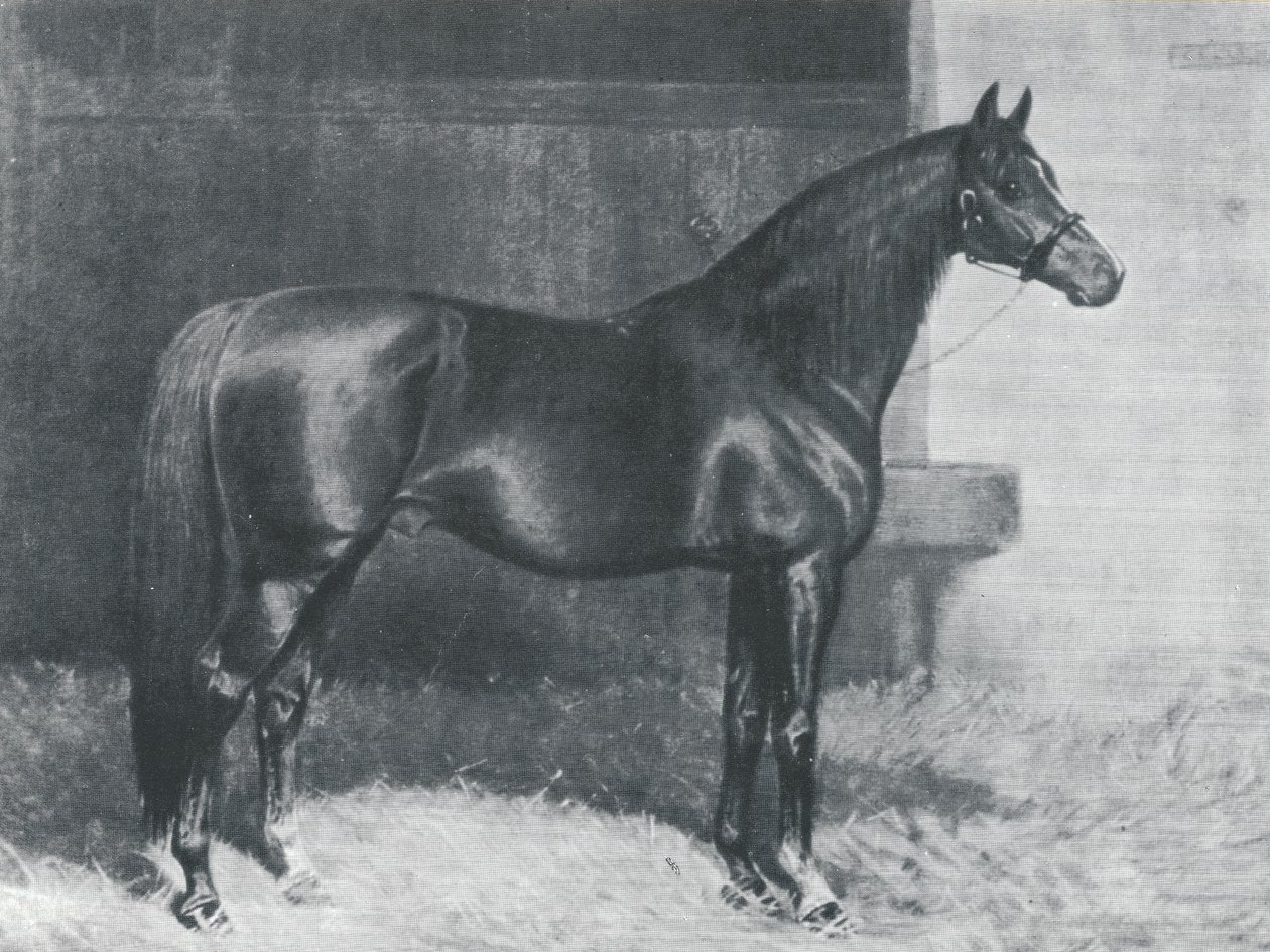Cyllene, brit telivér versenyló alkotó: Alfred Charles Havell