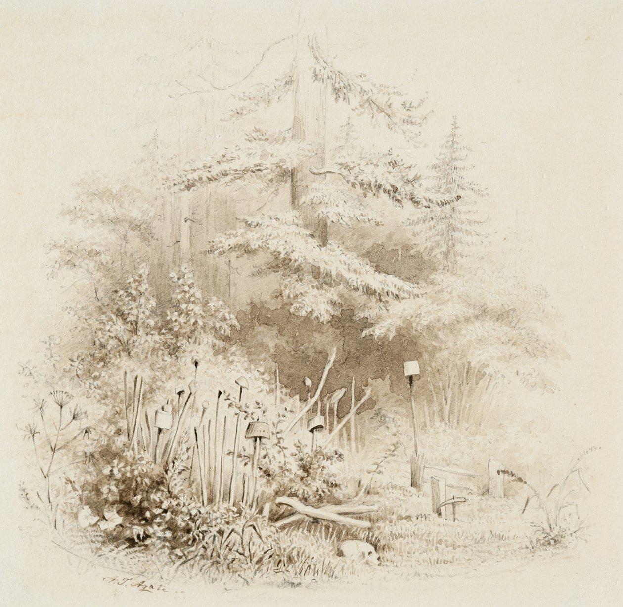 Indian Burial Place, Oregon, 1841 (ecset és barna mosás, grafittal, krémszínű szőtt papíron) alkotó: Alfred Thomas Agate