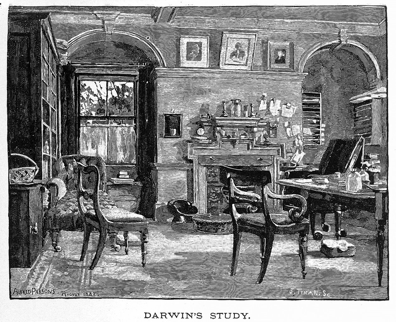 Darwin tanulmánya Charles Darwintól, élete és munkája, kocsma. 1891 (fametszet) alkotó: Alfred (after) Parsons
