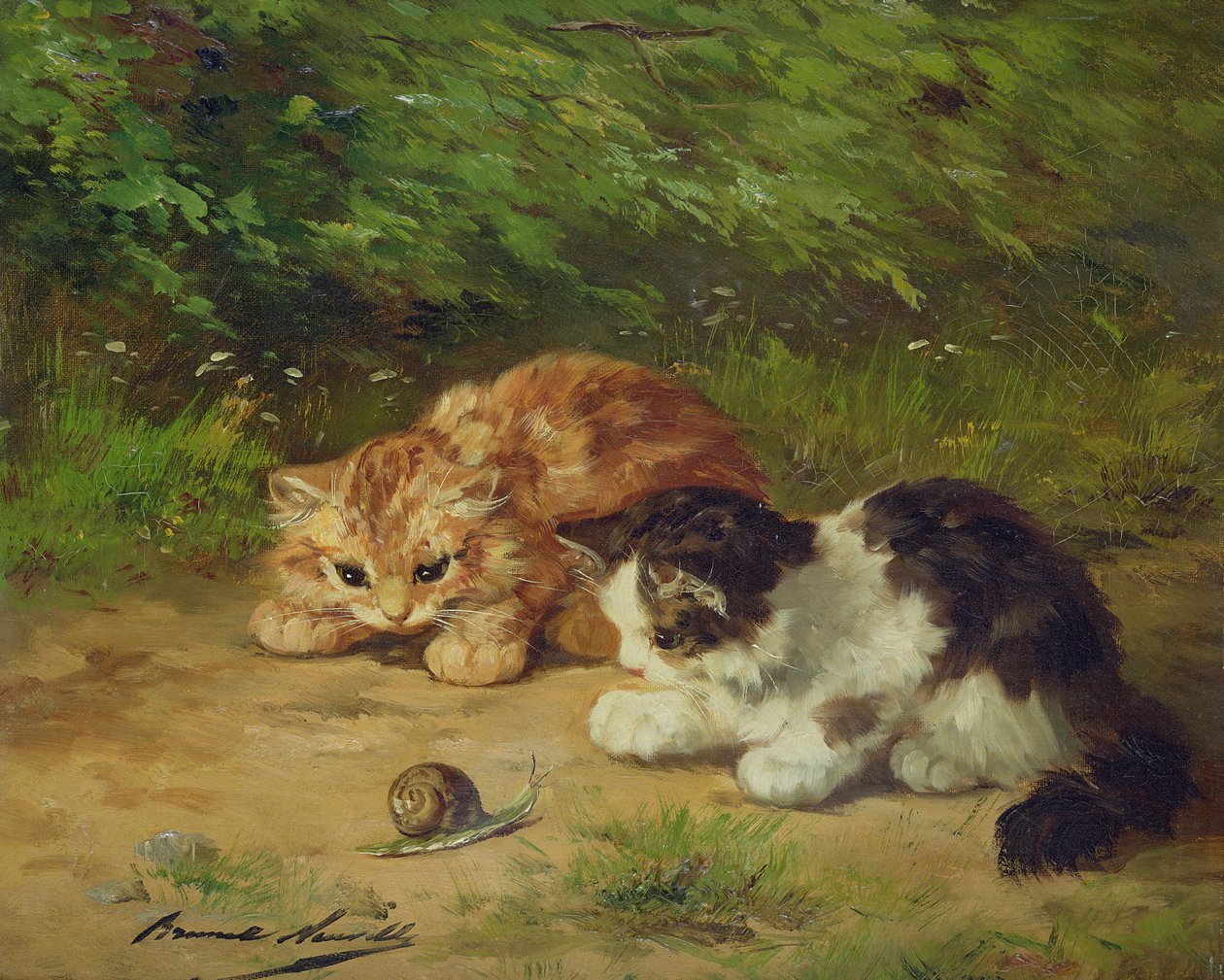 Cicák és csiga alkotó: Alfred Brunel de Neuville