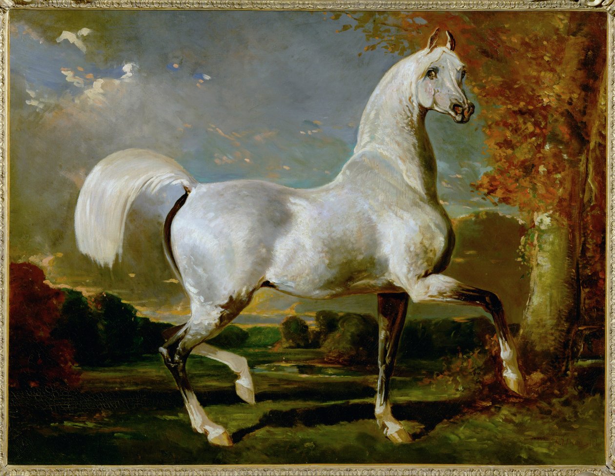 Etalon Arabe - arab telivér ... alkotó: Alfred Dedreux or de Dreux
