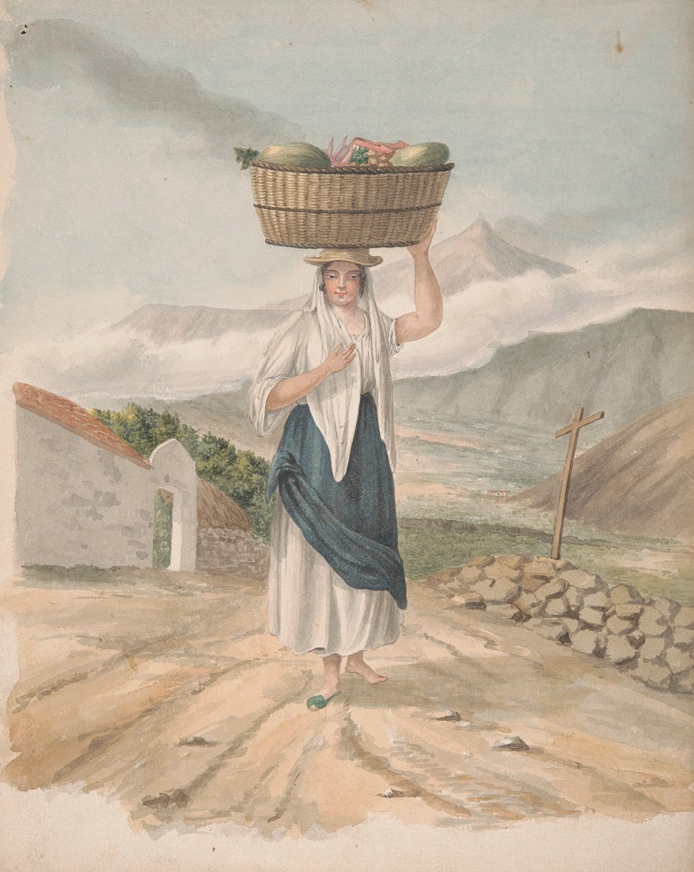Port Orotava nősténye alkotó: Alfred Diston