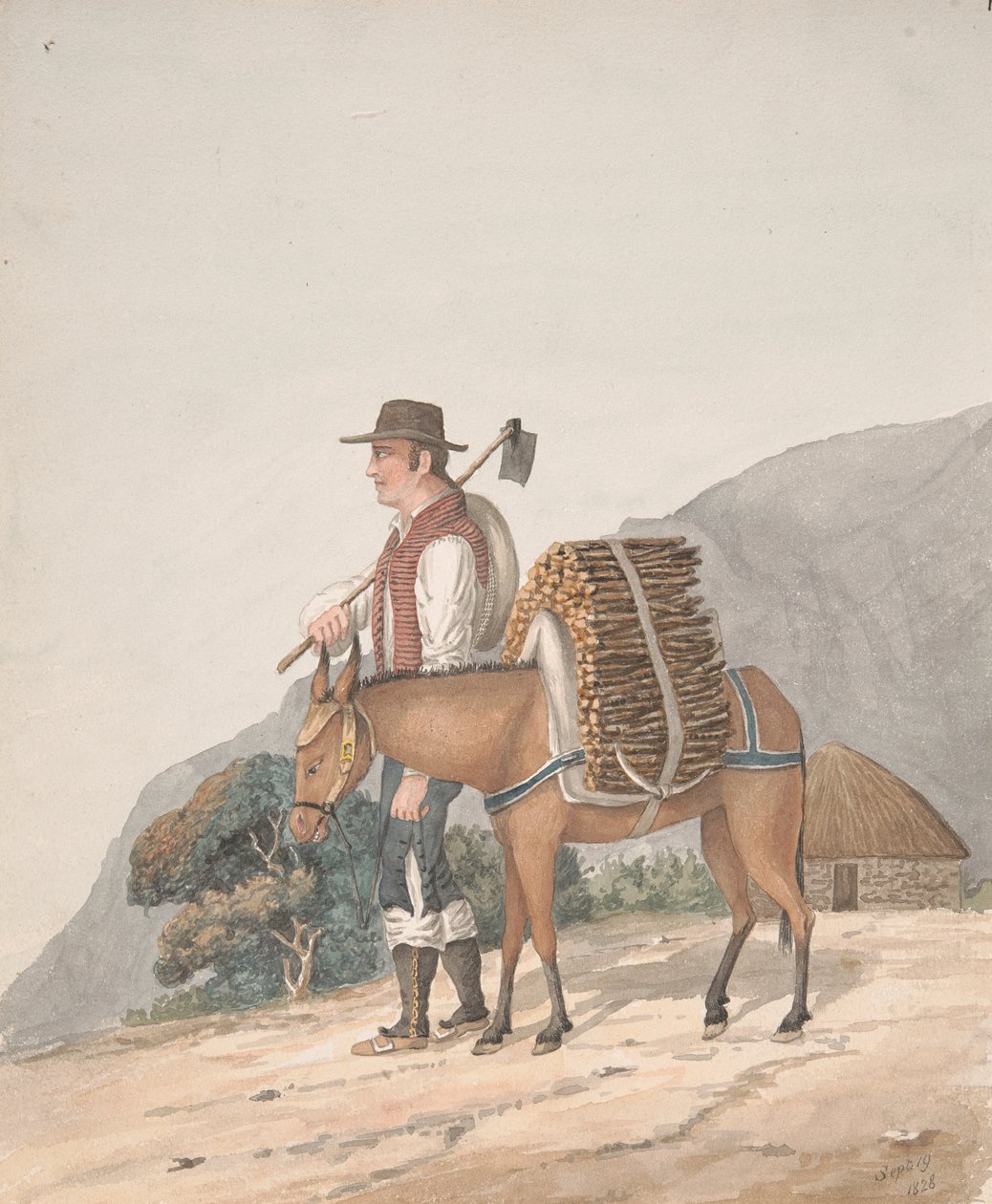 Tűzifa eladó, Tenerife alkotó: Alfred Diston