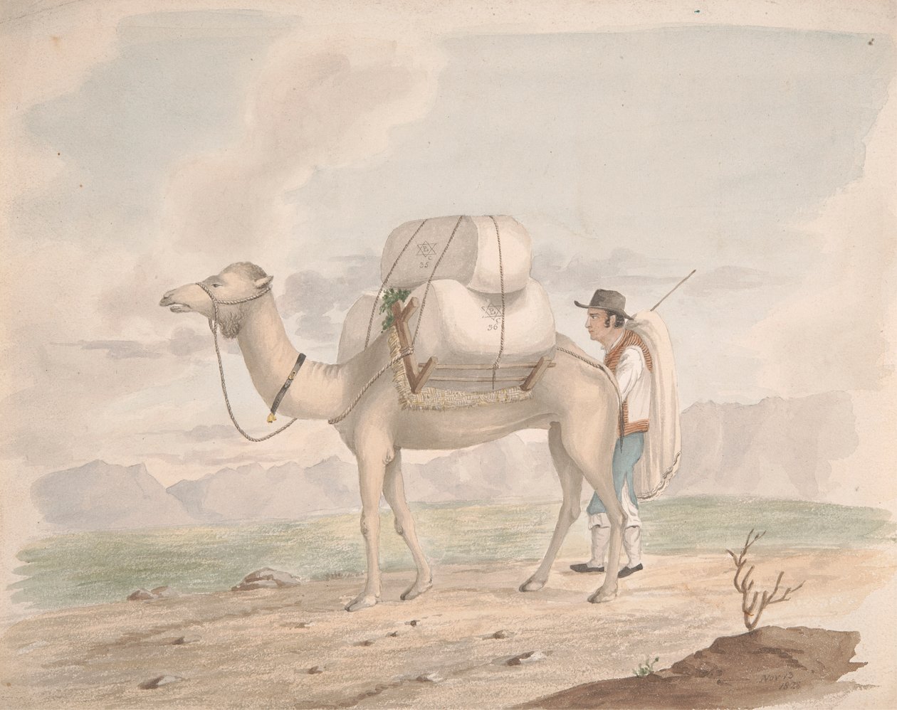 Betöltött Camel alkotó: Alfred Diston