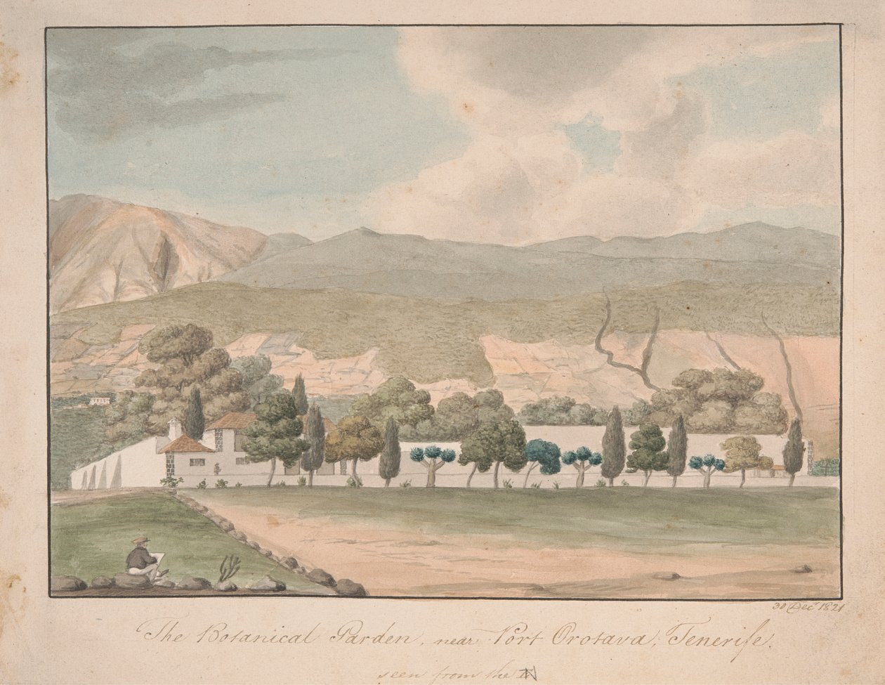 A botanikus kert a Port Orotava közelében, Tenerife alkotó: Alfred Diston