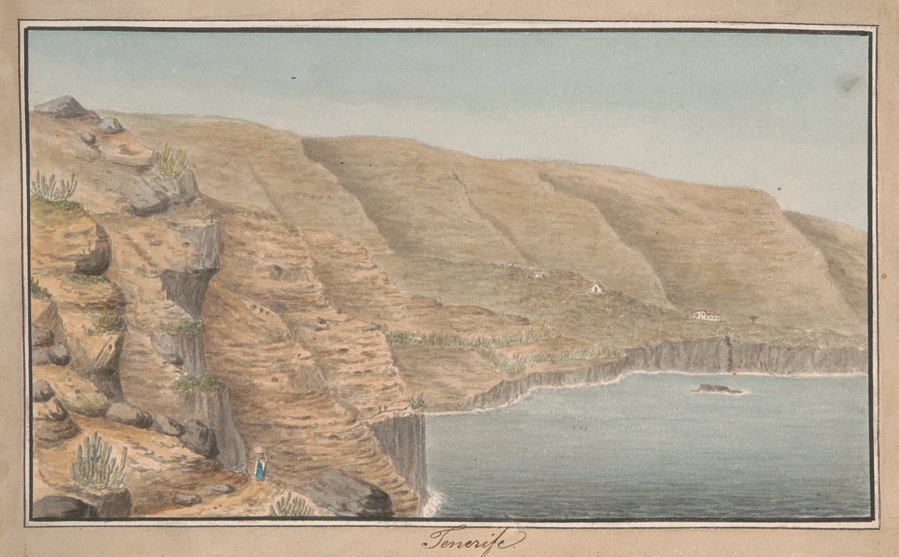 Kilátás a La Rambla de Castróra, Port Orotava közelében, Tenerife alkotó: Alfred Diston