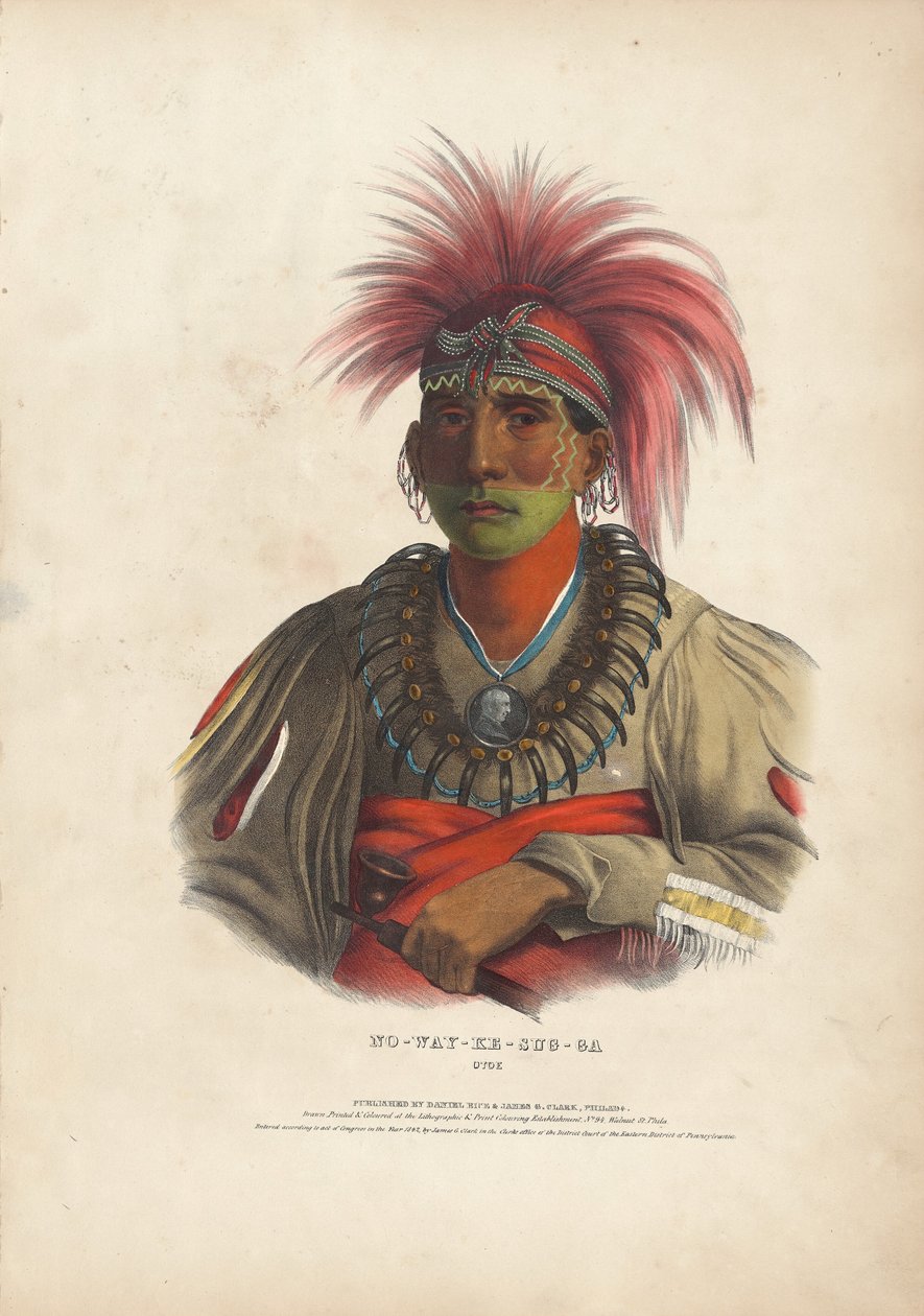 Nincs y összeg – g eset – az Otoe alkotó: Alfred Hoffy, after Charles Bird King