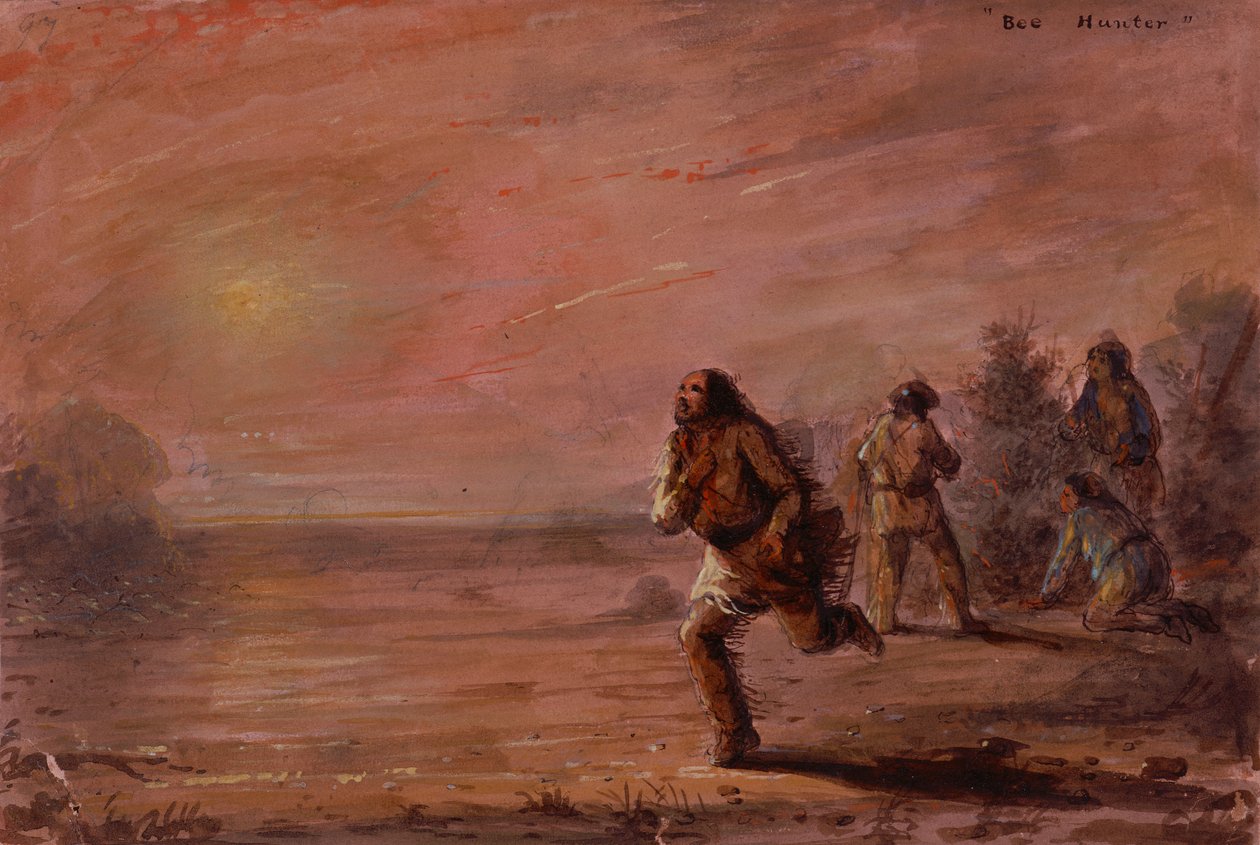 Bee Hunters, 1837 körül (olaj, papír) alkotó: Alfred Jacob Miller