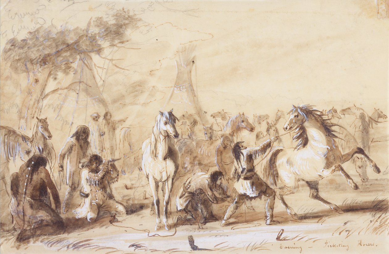 Este, Picketing Horses, 1837 körül (ceruza, mosás és gouache papíron) alkotó: Alfred Jacob Miller